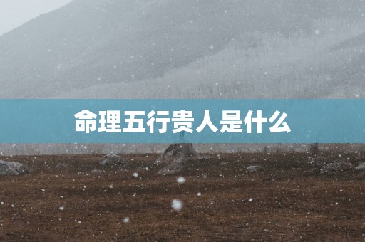 命理五行贵人是什么