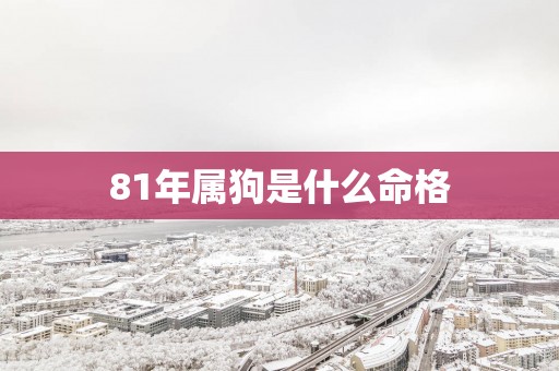 81年属狗是什么命格