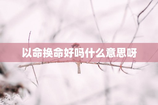以命换命好吗什么意思呀