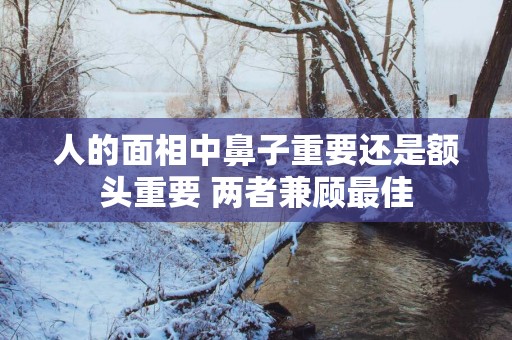 人的面相中鼻子重要还是额头重要 两者兼顾最佳
