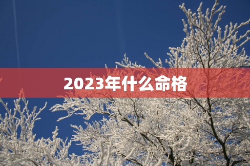 2025年什么命格