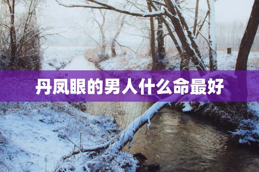 丹凤眼的男人什么命最好