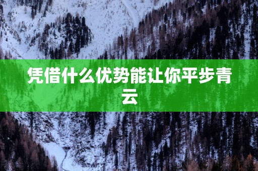 凭借什么优势能让你平步青云