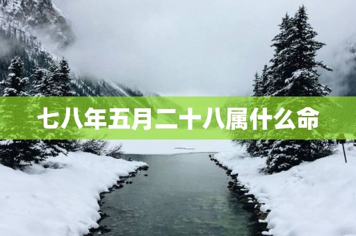 七八年五月二十八属什么命