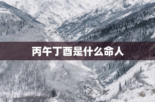 丙午丁酉是什么命人