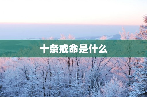 十条戒命是什么