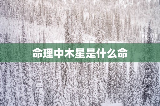 命理中木星是什么命