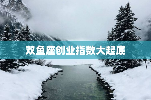 双鱼座创业指数大起底