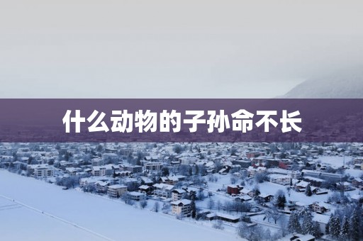 什么动物的子孙命不长