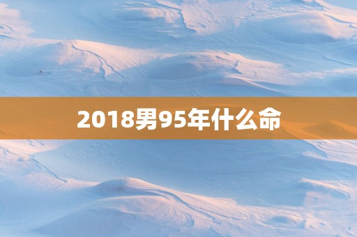 2018男95年什么命
