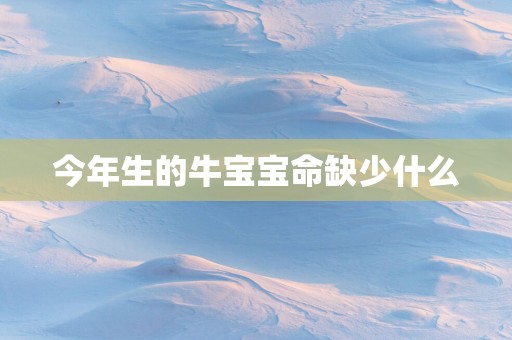 今年生的牛宝宝命缺少什么