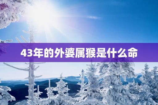 43年的外婆属猴是什么命