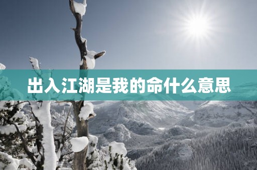 出入江湖是我的命什么意思