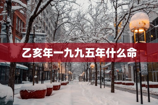乙亥年一九九五年什么命