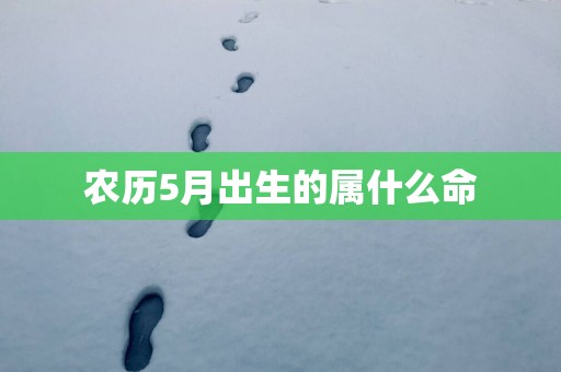 农历5月出生的属什么命