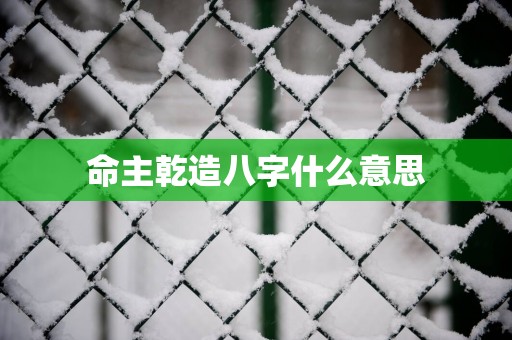 命主乾造八字什么意思