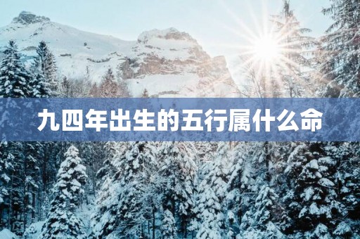 九四年出生的五行属什么命