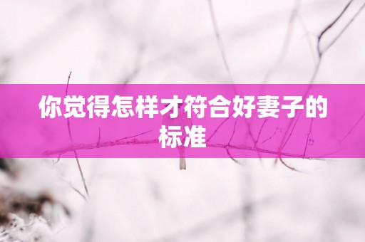 你觉得怎样才符合好妻子的标准