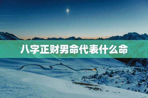 八字正财男命代表什么命