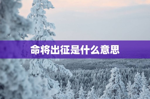 命将出征是什么意思
