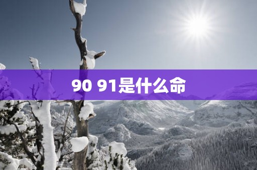 90 91是什么命