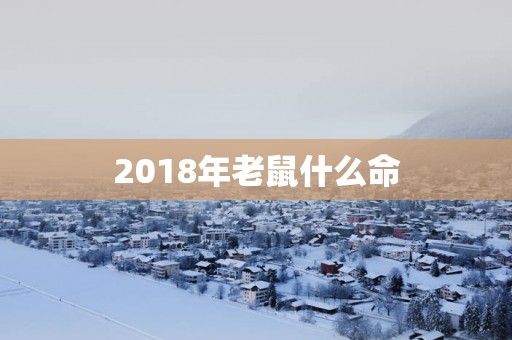 2018年老鼠什么命