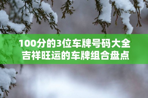 100分的3位车牌号码大全 吉祥旺运的车牌组合盘点