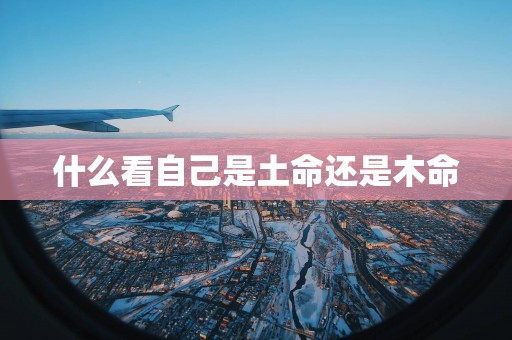 什么看自己是土命还是木命