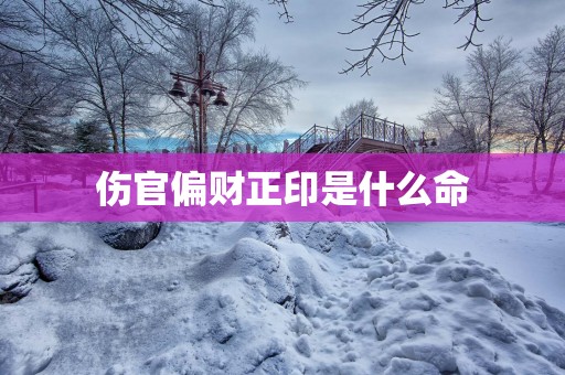 伤官偏财正印是什么命