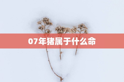 07年猪属于什么命