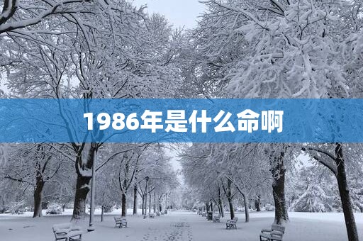 1986年是什么命啊