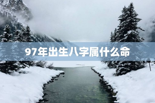 97年出生八字属什么命