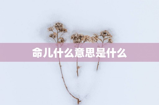 命儿什么意思是什么