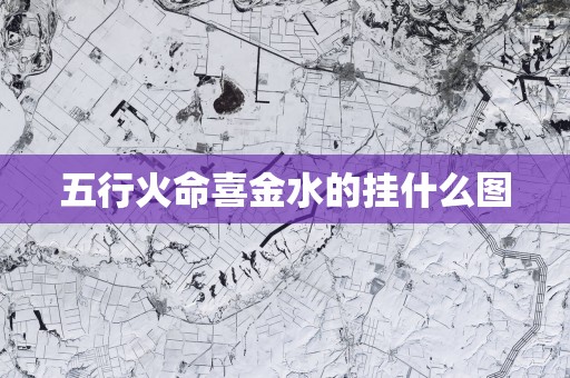 五行火命喜金水的挂什么图