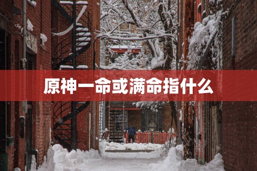 原神一命或满命指什么