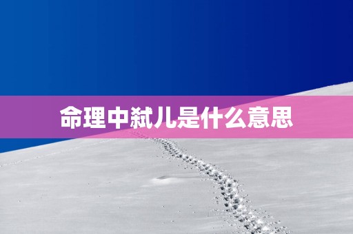 命理中弑儿是什么意思