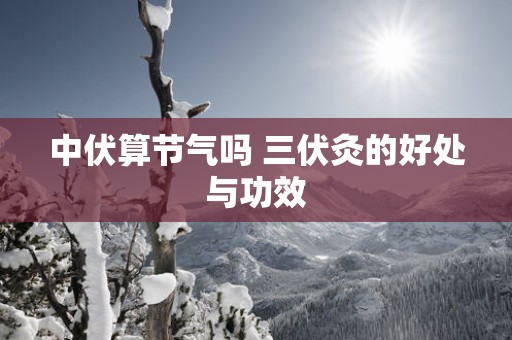 中伏算节气吗 三伏灸的好处与功效