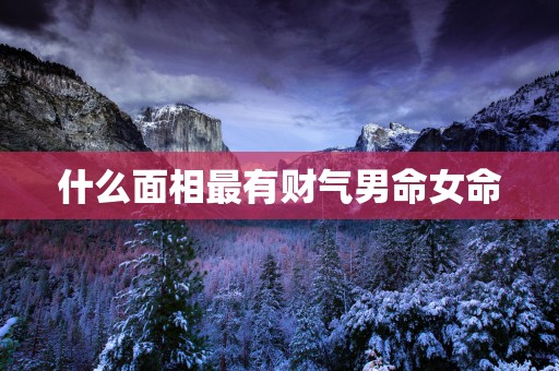什么面相最有财气男命女命