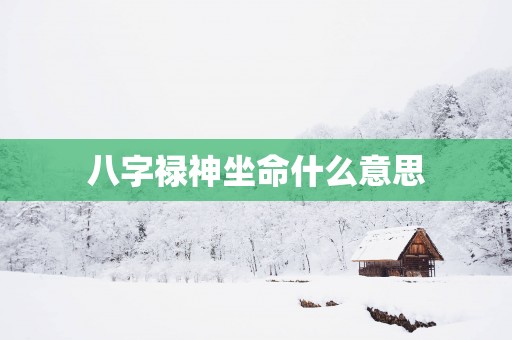八字禄神坐命什么意思