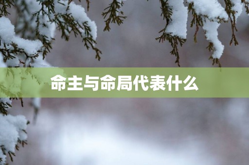 命主与命局代表什么