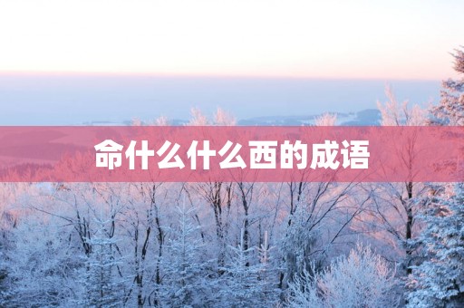命什么什么西的成语