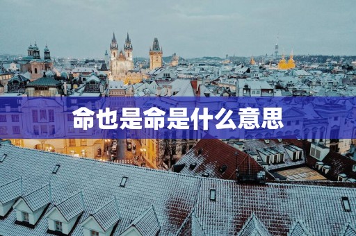 命也是命是什么意思