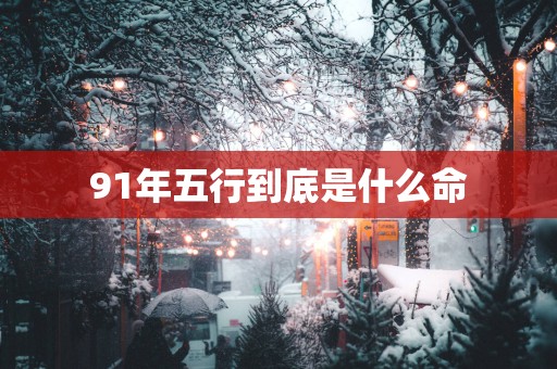 91年五行到底是什么命