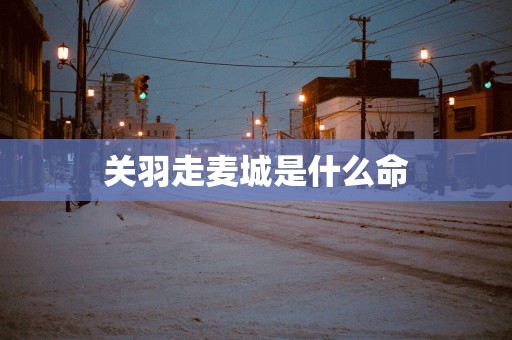 关羽走麦城是什么命