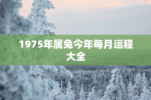 1975年属兔今年每月运程大全
