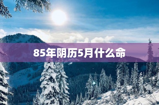 85年阴历5月什么命