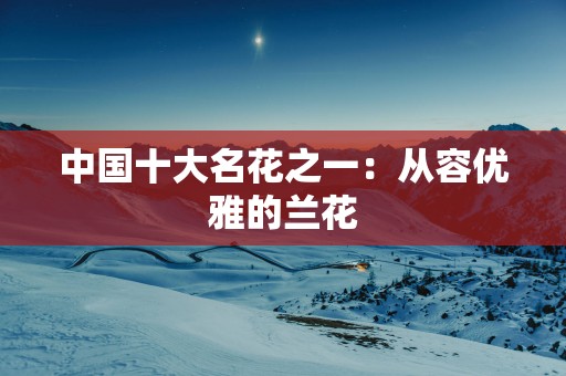 中国十大名花之一：从容优雅的兰花