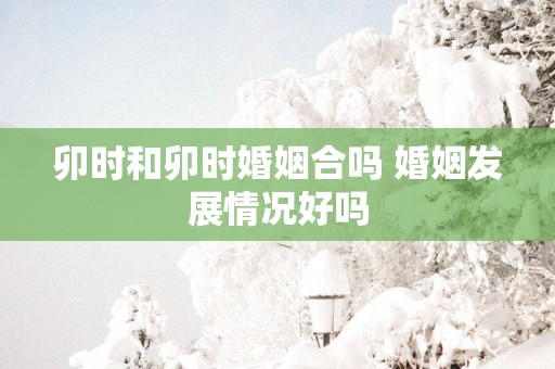卯时和卯时婚姻合吗 婚姻发展情况好吗