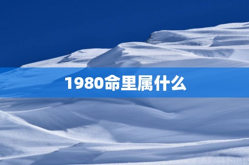 1980命里属什么