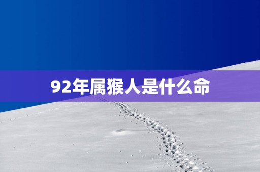 92年属猴人是什么命